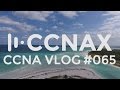 CCNA #065 Routed ports, Switchports and SVIs - what and how?