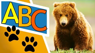 ABC animals - Learn alphabet with animals for kids and toddlers