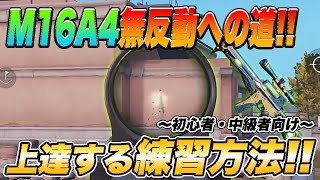 【荒野行動】無反動!? M16A4解説動画  (初心者•中級者向け)【荒野の光】