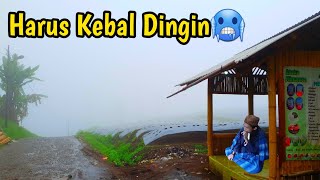 Kampung Terdingin di Atas Awan Daratan Paling Tinggi \u0026 Paling BERKABUT di JAWA BARAT