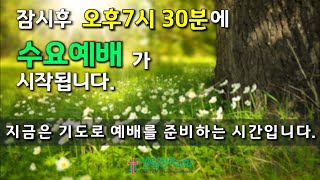 [센텀장로교회] 20240724 | 수요예배│요한복음Ⅱ