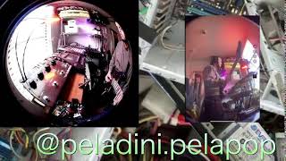 PELADINI - Live from Brooklyn