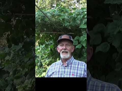 Why does soil need air and water?