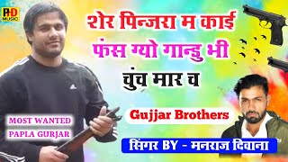 गेंगस्टर पपला गुर्जर सोंग || शेर पिन्जरा म काई फंस ग्यो | Papla Gurjar Manraj Deewana