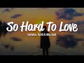 waitwhat & RySHi - So Hard To Love (Lyrics) ft. Abby Sevcik