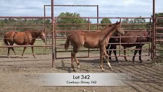 Lot 342