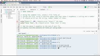 3 Node Echo Exercise Full tutorial for Beginners