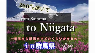 vlog【VR　歩いて埼玉から新潟まで2】群馬県伊勢崎市にに入りました　約79㌔地点に到着しました。アラフィフチャレンジ楽しんでます