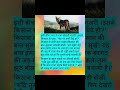 विश्वासघाती का कभी न करें विश्वास short story with moral hindi