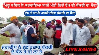 ਮਿੱਠੂ ਸਦੀਕ ਦੇ live ਸੌਦੇ - goat farming live_sauda। ਜਗਦੀਪ ਤੇ ਸਦਿਕ ਨੇ ਟੌਪ ਦੀ ਬੱਕਰੀ ਦਾ ਕੀਤਾ ਸੌਦਾ।#goat