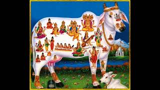 GOMATHA POOJAI SONG GLORY OF COW AND SERVICE TO SOCIETY  DOLPHIN RAMANATHAN COLLECTION