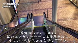 18102　プチ身体障害者が街をゆく〜足の指の骨にヒビが入った〜　（TVF2018応募作品）