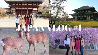 JAPAN VLOG 1 - UENO, NARA PARK, TODAIJI TEMPLE | karinavlogs