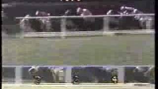 1988 Hollywood Gold Cup - Grade I