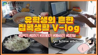 [슬기로운 유학생활]역시 집이 최고여~집콕 생활 VLOG