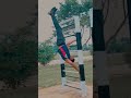 💪⚡ calisthenics workout youtubeshorts youtube fitness levelup strengthtraining.