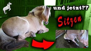 [Zirkuslektion] Sitzen | erste Versuche