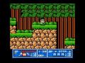 Wai Wai World 2- Contra World