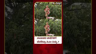 ತಮಟೆ ಸೌಂಡ್, ಕಲಾತಂಡಗಳ ಕಲರವ ಹೇಗಿದೆ ನೋಡಿ | Lingayat Samavesha | Vistara News