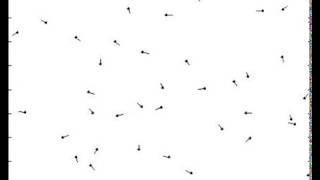 Flocking: Repulsion and no alignment