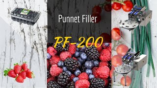 PF-200 Punnet Filler