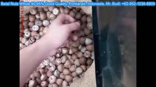 Betel Nuts or Areca Nuts WHOLE 90-95% Good Quality, Indonesia