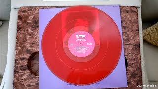 Jimi Hendrix Red Vinyl Record High Live N Dirty