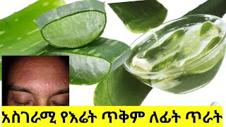 አስገራሚ የእሬት ጠቅም ለፊት ጥራት ለማድያት ጠባሳ ማጥፊያ እና  ፊት ለማለስለስ ለብጉር | Aloe vera for skin care