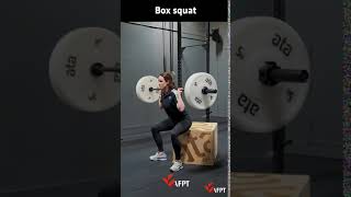 Box squat