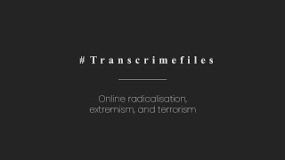 #Transcrimefiles | Online radicalisation, extremism, and terrorism (EU-funded ALLIES project)