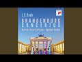 Brandenburg Concerto No. 6 in B-Flat Major, BWV 1051: I. Allegro