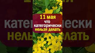 11 мая народный праздник Максимов день, Максим Березосок. Что нельзя делать. Народные приметы