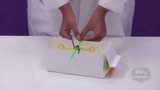 Mad Science Home Lab: Bubble Wheel