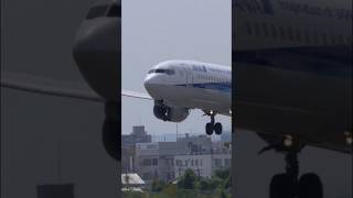 伊丹32L　ANA 737-800 アプローチ〜タッチダウン！ #Shorts