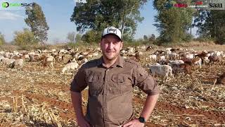 Richann van Flekker Meatmasters vertel hoekom hy 'n meatmaster ingeskryf het vir Lamb Champs 2024.