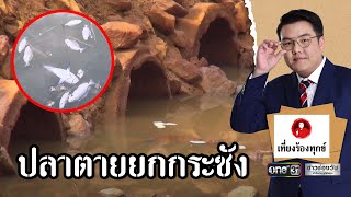 ปล่อยน้ำแดงสนิมลงคลอง ปลาตายยกกระชัง | เที่ยงร้องทุกข์ | ข่าวช่องวัน