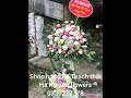 shop hoa tươi Thạch thất Hà Nội alo.flowers 0326277378