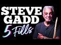 5 STEVE GADD Drum Fills Everyone Should Know!... DO YOU? 💙 2024