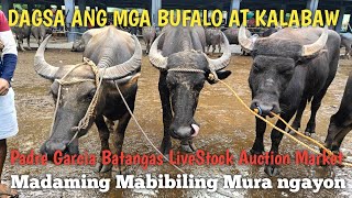 Price Update ng Mga Bufalo sa Padre Garcia Batangas