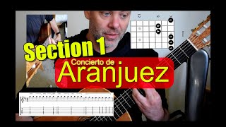 Rodrigo Guitar Concerto de Aranjuez - Section 1  (Bars 1 - 35)