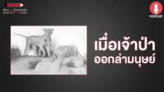 เมื่อเจ้าป่าออกล่ามนุษย์ - เรื่องจริงยิ่งกว่าหนัง PODCAST EP16