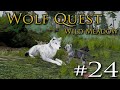 Hidden SECRETS at the New Forest Den?! 🐺 WOLF QUEST: WILD MEADOW • #24