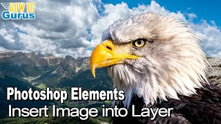 How You Can Use Adobe Photoshop Elements to Insert Image into New Layer