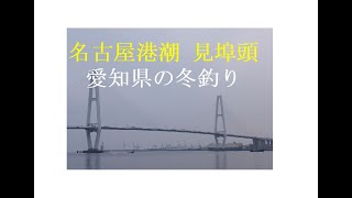 愛知県 名古屋港 潮見埠頭 2月の冬釣り 投げ釣り 浮き釣り 4 FISHING！