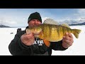 ice fishing the biggest perch in north america