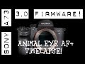 Sony A7iii Firmware 3.0! Animal Eye AF! Intervalometer + Update tutorial