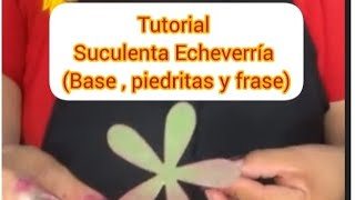 Suculenta Echeverría .