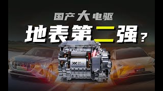 国产电机，世界第二？硬核解析智己800V最强电驱技术｜475kW China-made E-Drive with Rotor Oil-cooling and Carbon Fiber Sleeve