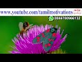 how to attract people with your talk உங்கள் பேச்சால் பிறரை ஈர்ப்பது எப்படி nambikkai kannan tamil