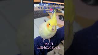 あくびするとき出る声かわいすぎ、にんげんがあくびするとき出る声「んがっ」だよ